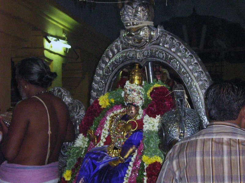 Thayar on Hamsa Vahanam.JPG
