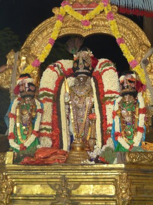 Parthasarathi - MM sattrumarai Evening purappadu2.jpg