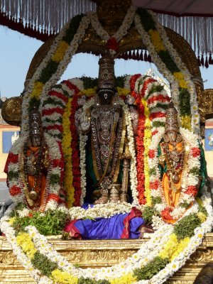 Parthasarathy - MM sattrumarai purappadu1.jpg