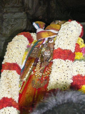 Mamunigal after Gandhapodi Vasantham.JPG