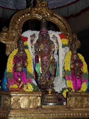 Parthasarathy purappadu during peyazhwar sattrumarai.jpg