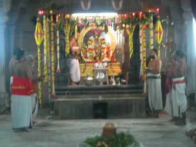 sarvadhari-adhyayanotsavam