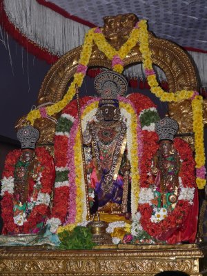 Sri Parthasarathi- irAppatu utsavam - Pandiyan kondai.jpg