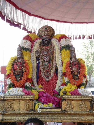 Thiruvallikeni - Parthasarathi - Rathasapthamai purappadu3.jpg