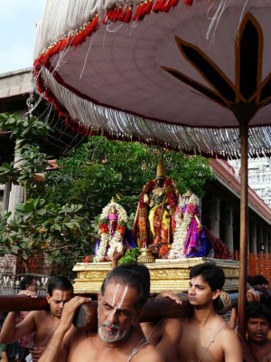 Parthasarathi during purappadu.jpg
