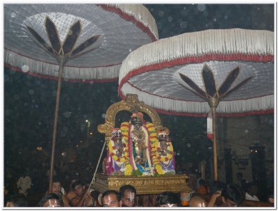 Manavala mAmunikal utsavam - Parthasaraty purappadu - deepavali day2.JPG