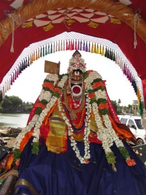 Sri Aalavandar -9th Day Purapaadu.JPG