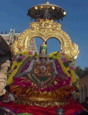 Srithaayar during Purappadu.jpg
