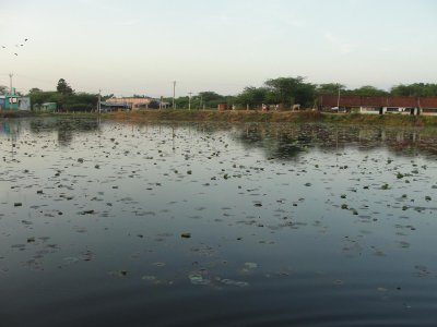 Mathuramangalam Kulam.JPG