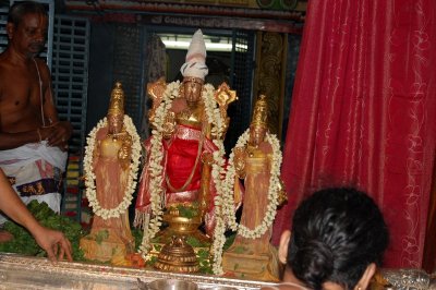 Nandana - Thiru Evvul - Sri Veeraraghava Perumal @ Sriperumbudur 