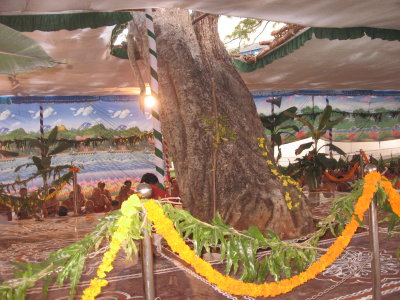 EmperumAn pon malai mEAl yEadhEanum AvEanEa-Sri AnanthAzvAn in the form of a tree.jpg