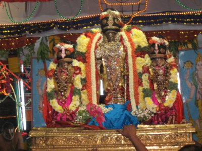 03-Sri PArthasArathy about to enter Theppam.jpg