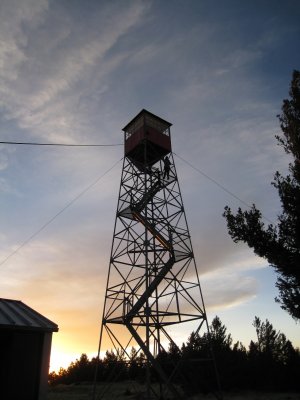 Martina climbs up Hillsboro fire tower