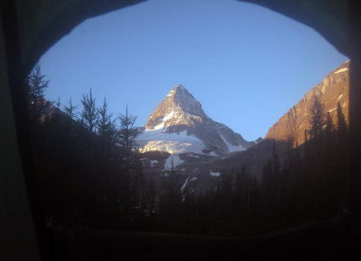 Mt Assiniboine from the tent