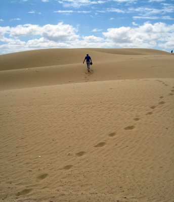 essaouira-dunes