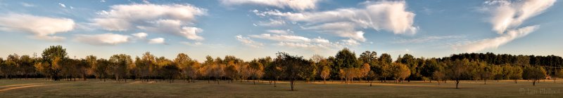 Early autumn light