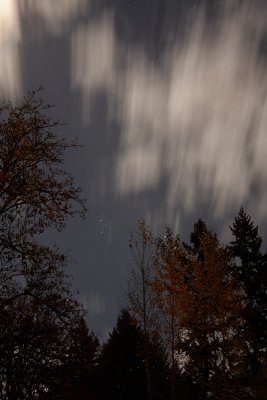 night moves.jpg