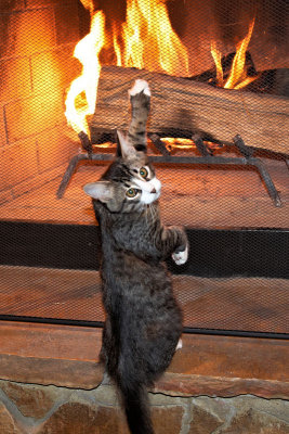 What??!! Me? Climb???