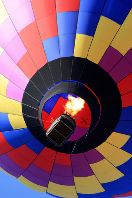 BalloonRace.jpg