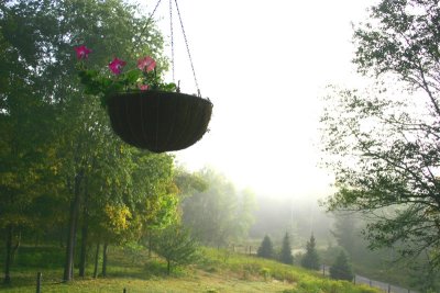 Misty Morning View from the Porch