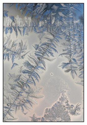 Winter Blues