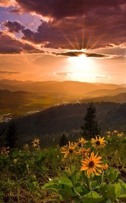 Colville Mountain Sunset.jpg