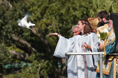 Releasing the Dove of Peace