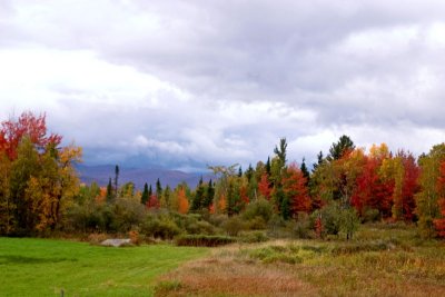 Autumn Color