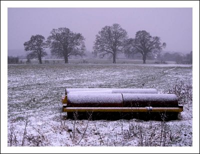 A Dusting of Snow