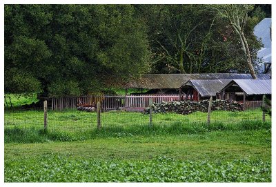 Sebastopol, California