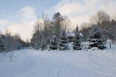 Snowy Road