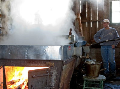 Maple Syrup - The Evaporator