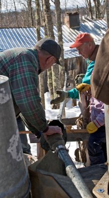 Maple Syrup - Back at the Sugar House