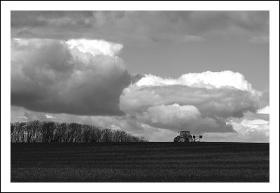 Rolling Grassland