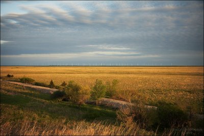 Kansas Wind Farm