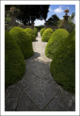 Garden Topiary