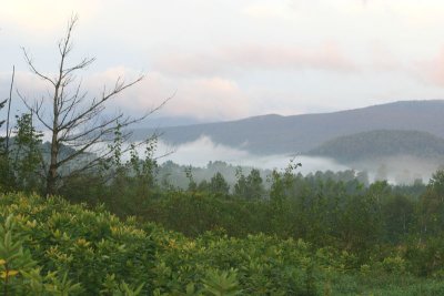 Mist in the Mountains