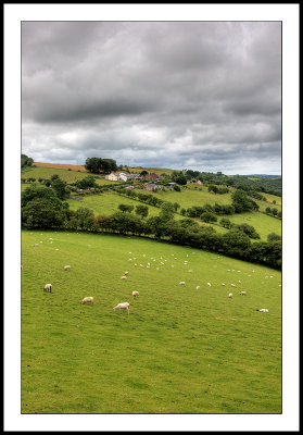 Pastoral scene