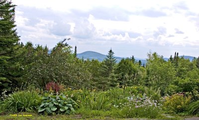 Garden With a View