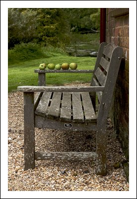Orchard Bench