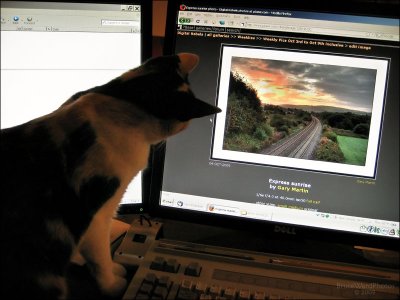 The Art Critic
