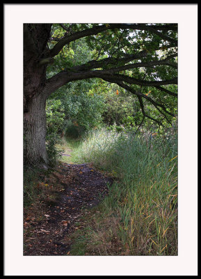 Lonely path I trod...