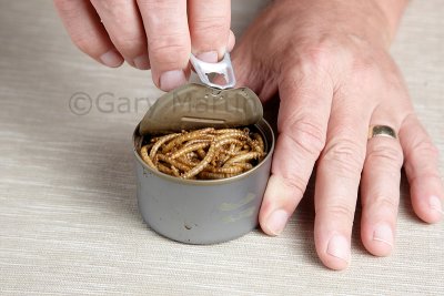 Opening a can of worms