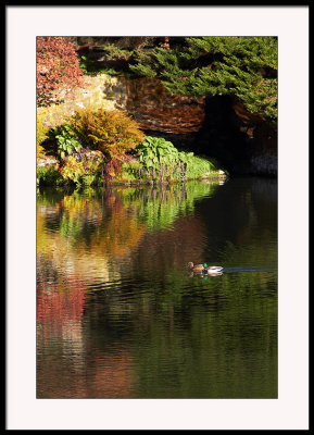 Reflecting on a beautiful day...