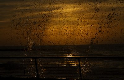 Sun Set Sea Spray