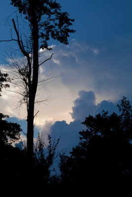 Thunderhead and lonesome pine.