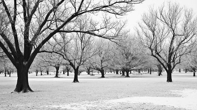 Hoarfrost Picnic