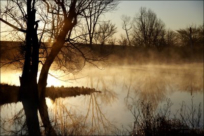 Reflections on Golden Pond