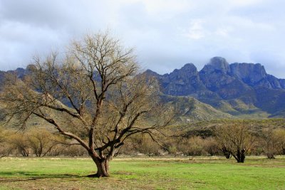 Catalina Mountains in winter