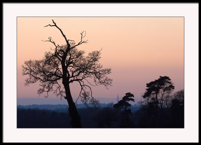 Buckenham sunset